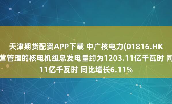 天津期货配资APP下载 中广核电力(01816.HK)前6月集团运营管理的核电机组总发电量约为1203.11亿千瓦时 同比增长6.11%