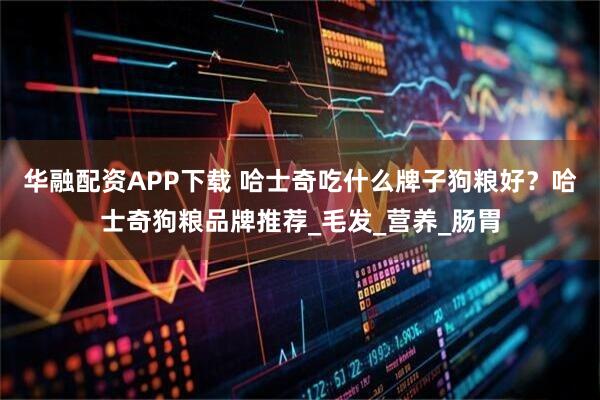 华融配资APP下载 哈士奇吃什么牌子狗粮好？哈士奇狗粮品牌推荐_毛发_营养_肠胃