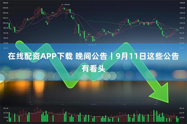 在线配资APP下载 晚间公告丨9月11日这些公告有看头