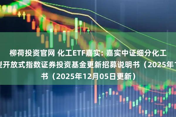 柳荷投资官网 化工ETF嘉实: 嘉实中证细分化工产业主题交易型开放式指数证券投资基金更新招募说明书（2025年12月05日更新）