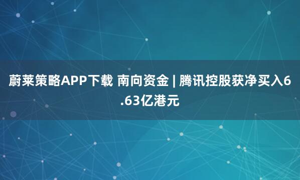 蔚莱策略APP下载 南向资金 | 腾讯控股获净买入6.63亿港元
