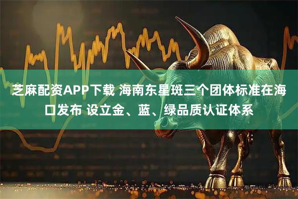 芝麻配资APP下载 海南东星斑三个团体标准在海口发布 设立金、蓝、绿品质认证体系