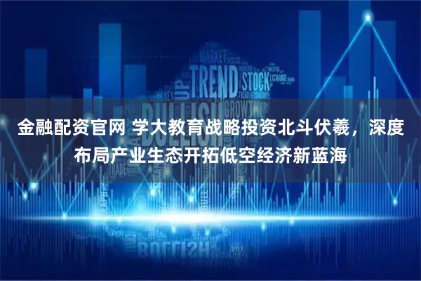 金融配资官网 学大教育战略投资北斗伏羲，深度布局产业生态开拓低空经济新蓝海